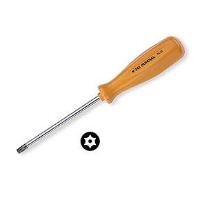 Performance in Lighting - Accessorio Key Theft Torx T10