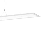 Performance in Lighting - SL713+ PL RXL 61 S/C 840 WH9016 DALI Micro Prismatic