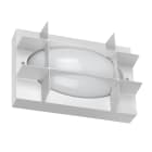 Performance in Lighting - Bliz Oval 21 S/EW 840 Wh87 - 3113248 -