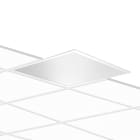 Performance in Lighting - Plato 600 Mp 28.5 840 Ugr<19 - 3116608                                    -