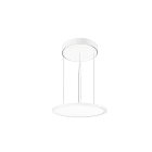 Performance in Lighting - Fl R 333 Pl 23 S/A 830 Wh9016 Dali Op - 8333291266310