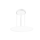 Performance in Lighting - Fl R 555 Pl 45 S/B 830 Wh9016 Dali Op