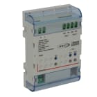 Bticino - Variateur MH DALI2 2 sorties pour contrôle jusqu'à 32 ballasts - 4 modules DIN