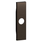 Bticino - Enjoliveur prise TV 1 module Bronze - Living Now