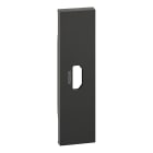Bticino - Enjoliveur Living Now pour prise HDMI préconnectorisée 1 module - noir