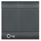Bticino - Manette Livinglight symbole clé 2 modules - anthracite