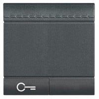 Bticino - Manette Livinglight symbole clé 2 modules - anthracite