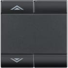 Bticino - Manette Livinglight symbole montée et descente 2 modules - anthracite