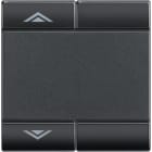 Bticino - Manette Livinglight symbole montée et descente 2 modules - anthracite