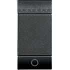 Bticino - Manette Livinglight symbole lumière 1 module - anthracite