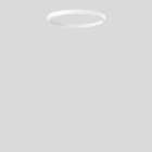 Bega - Anneau de finition, Blanc