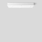 Bega - Distributeur, Blanc