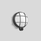 Bega - Applique avec capteur PIR, pour intérieur et extérieur, Graphite · 3000 K