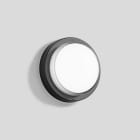 Bega - Applique et plafonnier, pour intérieur et extérieur, Graphite · 3000 K