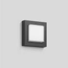 Bega - Applique et plafonnier, pour intérieur et extérieur, Graphite · 4000 K