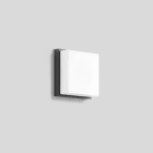 Bega - Le rectangle Lichtbaustein ®, pour intérieur et extérieur, Graphite · 3000 K