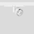 Bega - Projecteur sur rail conducteur, pour l'intérieur, Blanc satiné · 3000 K