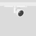 Bega - Pro zoom pour rail conducteur, pour l'intérieur, Blanc satiné · 4000 K