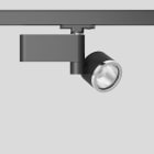 Bega - Projecteur sur rail conducteur, pour l'intérieur, Noir satiné · RGBW