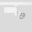 Bega - Projecteur sur rail conducteur, pour l?intérieur, Blanc satiné · 4000 K