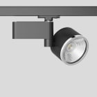 Bega - Projecteur sur rail conducteur, pour l?intérieur, Noir satiné