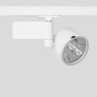 Bega - Projecteur sur rail conducteur, pour l?intérieur, Blanc satiné · RGBW