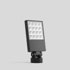 Bega - Projecteur puissant RGBW, Graphite