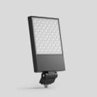 Bega - Projecteur puissant RGBW, pour intérieur et extérieur, Graphite