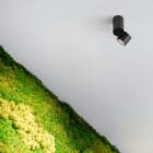 Arkoslight - iO Surface 20° 3500K IP20 CRI>90 Noir Texturé