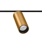 Arkoslight - Fit 50 48V Dim Dali 28° 3000K IP20 CRI>90 Or