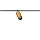 Arkoslight - Fit 20 48V 54° 3000K Non Dim IP20 CRI>90 Or - Rail Blanc