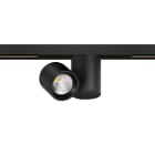 Arkoslight - Io 48V Short Dim Dali 20° 3000K IP20 CRI>90 Noir Texturé