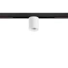 Arkoslight - Top Mini 48V Short Dim Dali 30° 2700K IP20 CRI>90 Blanc Texturé