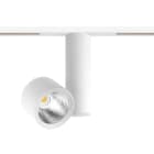 Arkoslight - Zen Tube 48V Short 2 24° 3000K Non Dim IP20 CRI>90 Blanc Texturé - Rail Blanc