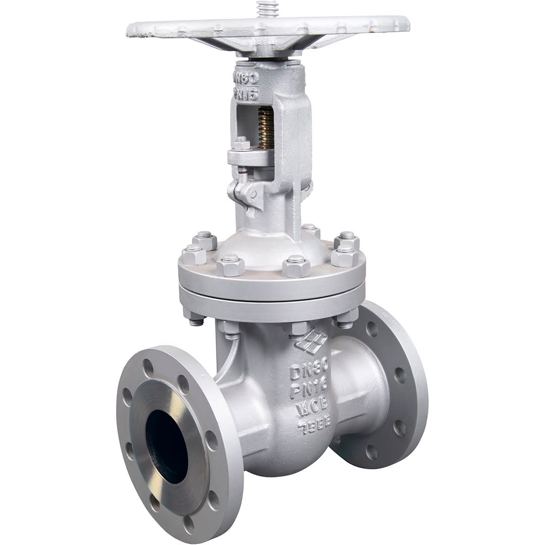 Sferaco - Vanne opercule à passage direct acier moulé TRIM5 à brides PN16 Série 147 DN250