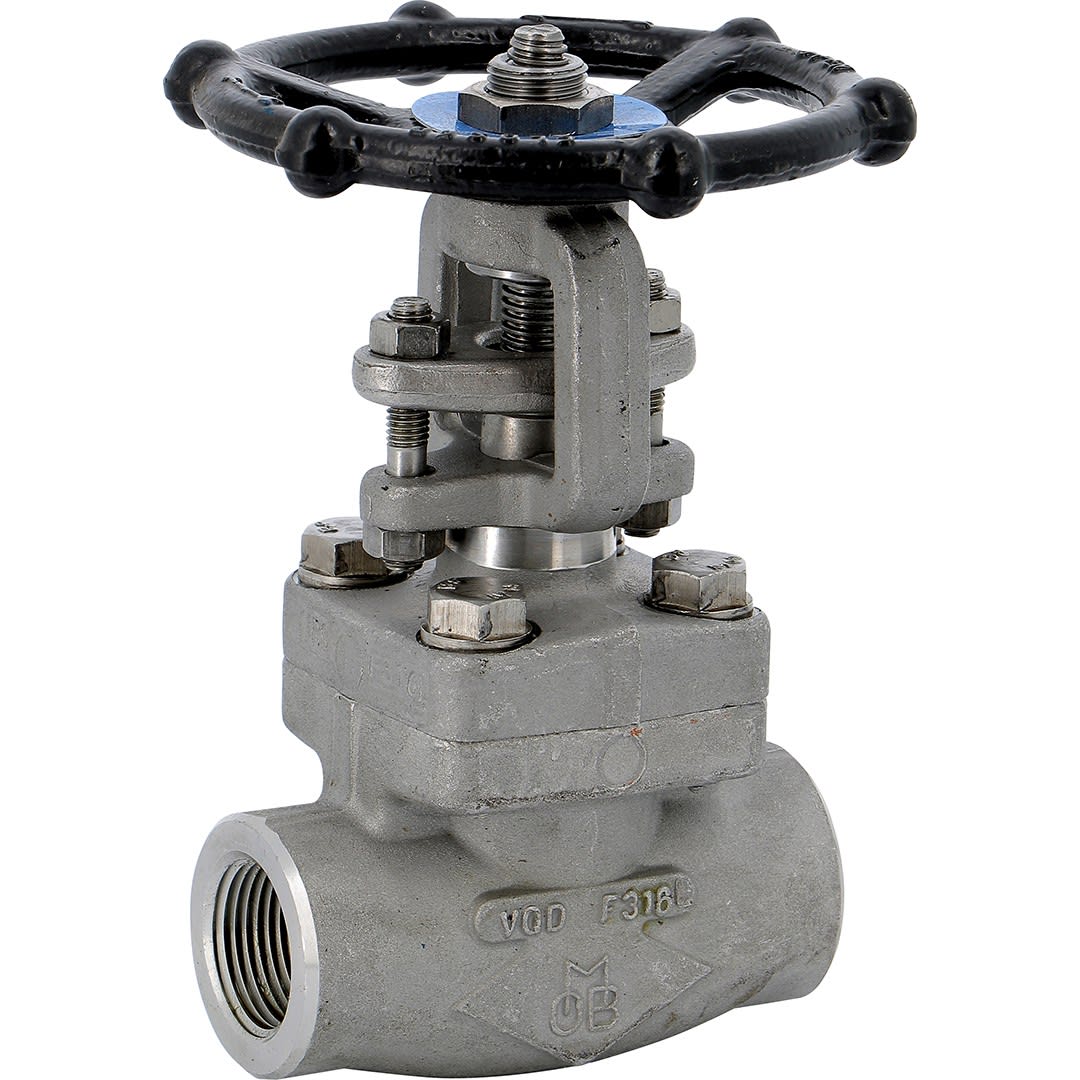 Sferaco - VOP 153 NPT 2" F316 800LBS TRIM10 CHAP.BOULONNE