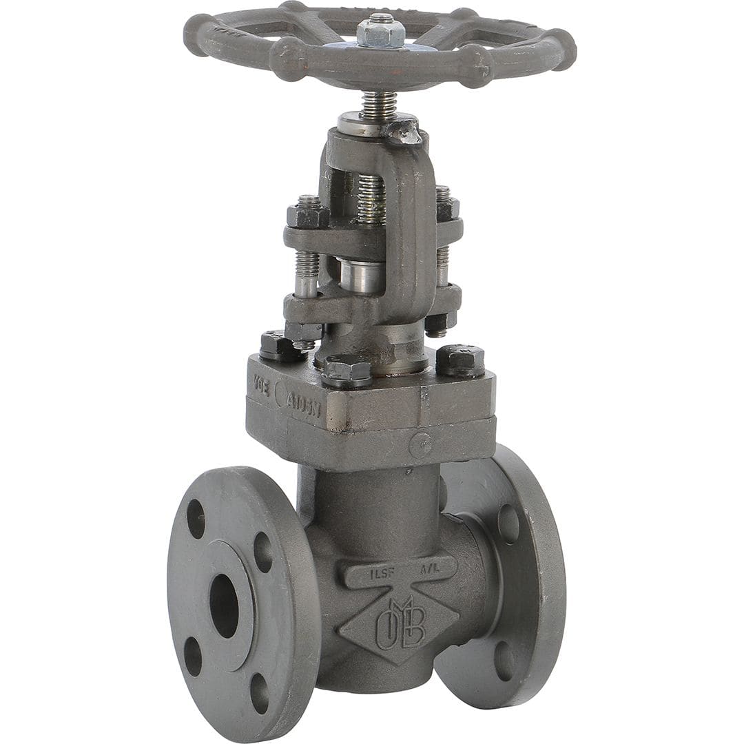 Sferaco - Robinet à soupape acier forgé A105N à brides Class 150 TRIM5 BB Série 440 DN15