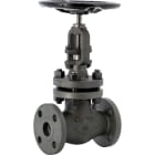 Sferaco - Robinet à soupape acier forgé A105N à brides Class 300 TRIM5 BB Série 441 DN50