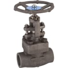 Sferaco - RS 418 NPT 1" LF2 CL800 TRIM12 800LBS CHAP.BOULONNE