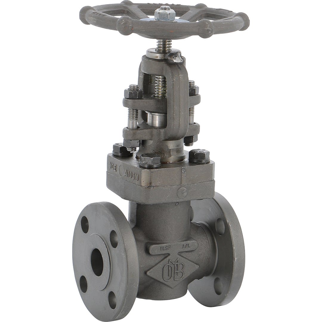 Sferaco - RS440A105N 150RF DN25 TRIM5 BB CLASS 150RF PN20-CHAP.BOUL- PASS.REDUIT