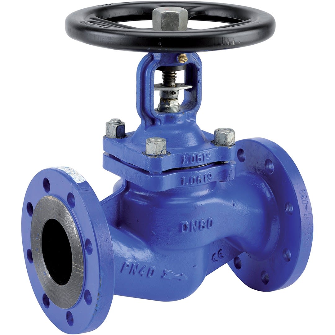 Sferaco - RS 475 DN 25 AC SOUFFLET GN40