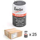 Enix - Batterie cyclon Enersys 0800-0004 (X cell) 2V 5Ah F4.8