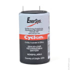 Enix - Unité(s) Batterie cyclon Enersys 0800-0004 (X cell) 2V 5Ah F4.8