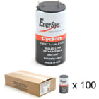 Enix - Batterie cyclon Enersys 0810-0004 (D cell) 2V 2.5Ah F4.8