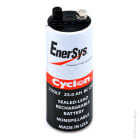 Enix - Batterie cyclon Enersys 0820-0004 (BC cell) 2V 25Ah M6-M8