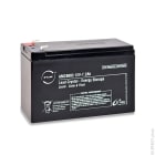 Enix - Batterie(s) Batterie lead crystal 6-CNFJ-7.2 12V 7.2Ah F6.35