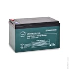Enix - Batterie(s) Batterie lead crystal 6-CNFJ-12 12V 12Ah M5-F