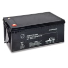 Enix - Batterie(s) Batterie lead crystal 6-CNFJ-200 12V 200Ah M8-F