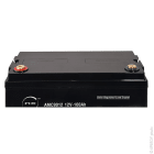 Enix - Batterie(s) Batterie lead crystal 6-CNFJ-100 12V 100Ah M8-F