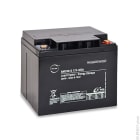 Enix - Batterie(s) Batterie lead crystal 6-CNFJ-40 12V 40Ah M6-F